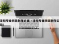 瑞安沈阳专业网站制作方案（沈阳专业网站制作公司）
