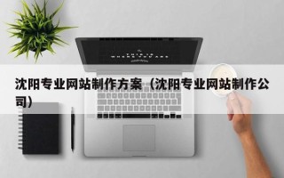 瑞安沈阳专业网站制作方案（沈阳专业网站制作公司）